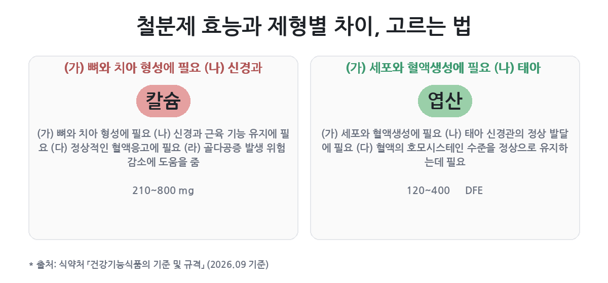 액상·정제·캡슐, 속 편함과 흡수를 나란히 보기