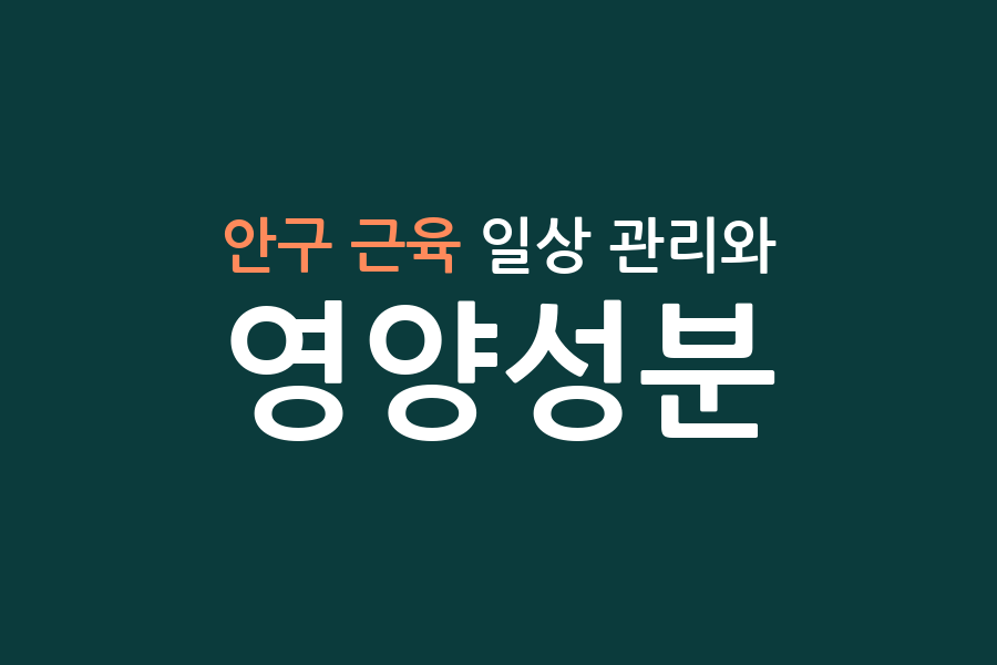 안구 근육 일상 관리와 영양성분