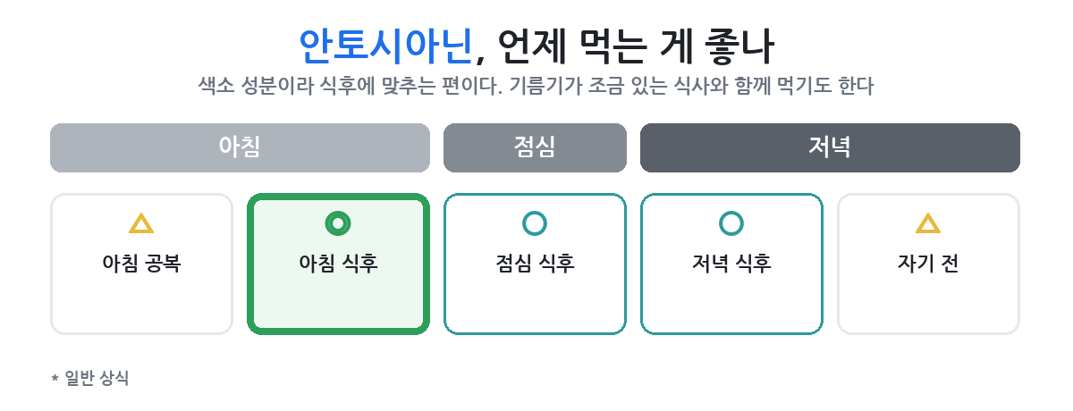 저녁 화면 작업을 기준으로 언제 먹고 몇 주를 두고 보나