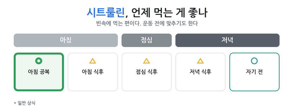 운동 몇 분 전에 먹나, 쉬는 날에도 먹나
