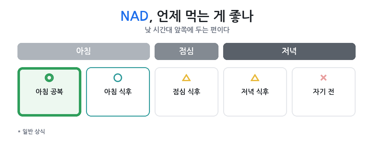 오후에 처지는 시간대를 기준으로 언제 먹나