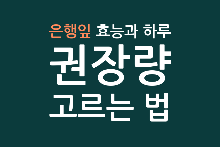 은행잎 효능과 하루 권장량, 고르는 법