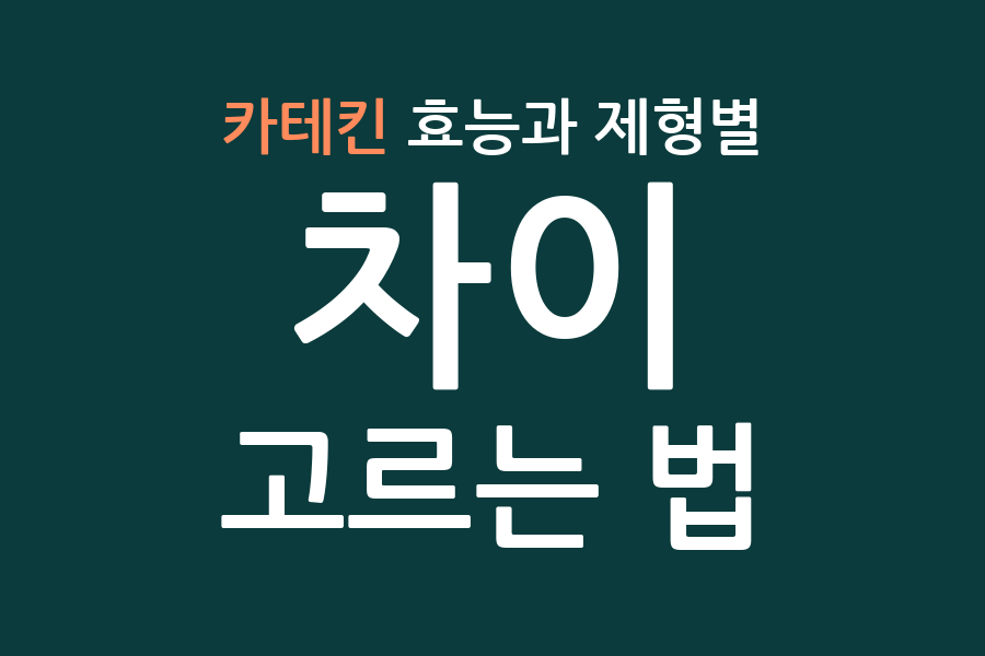 카테킨 효능과 제형별 차이, 고르는 법