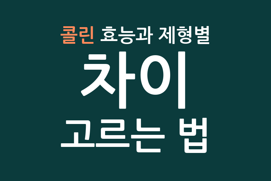 콜린 효능과 제형별 차이, 고르는 법