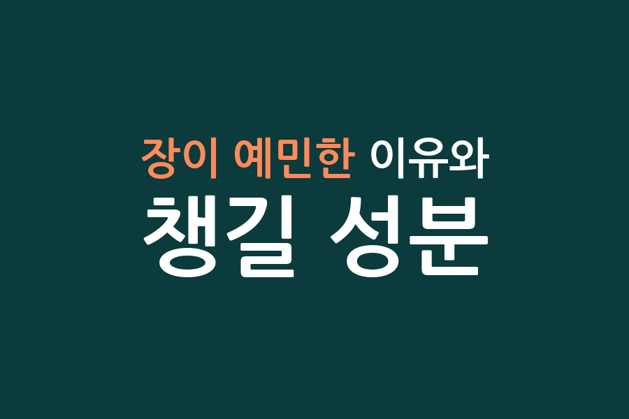 장이 예민한 이유와 챙길 성분