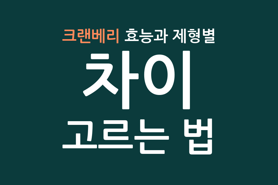 크랜베리 효능과 제형별 차이, 고르는 법